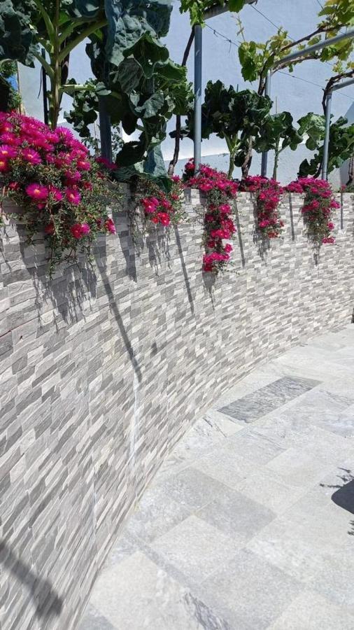 Casa Dos Avos Villa Alcaria da Serra Екстериор снимка